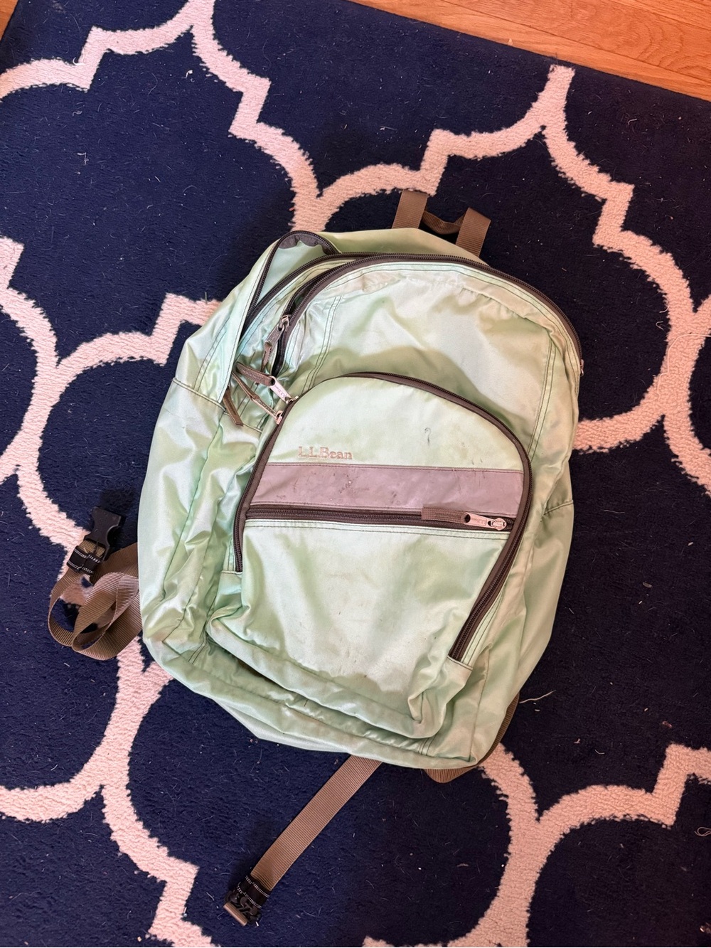 L.L. Bean Mint Green Daypack with Brown Trim